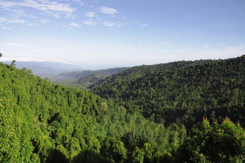 Munduk Sari Resort Εξωτερικό φωτογραφία