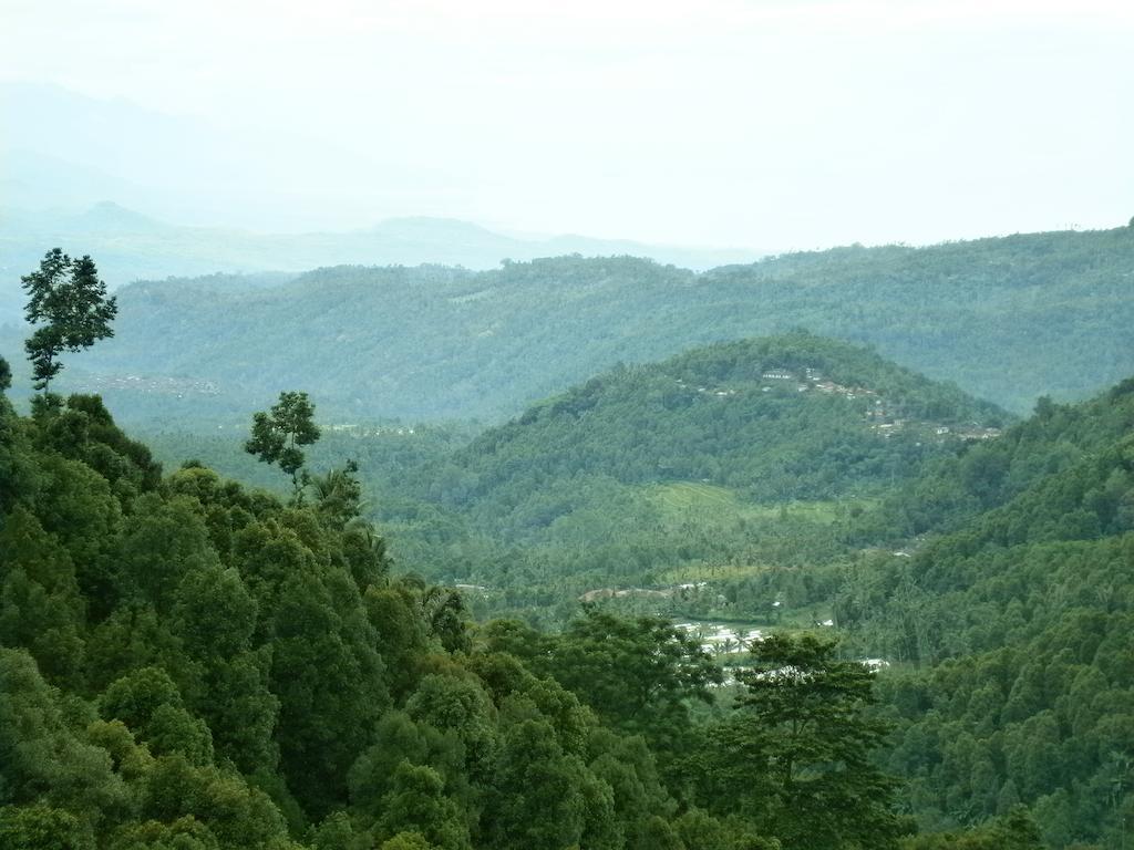 Munduk Sari Resort Εξωτερικό φωτογραφία